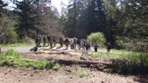 Mudpuddle the duck leading another tour