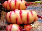 Oca. Lemony mini potatoes