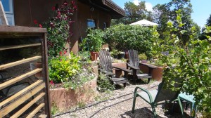 Summer 2014.  Curvey bed gardens in front of the south wall.  Lemons have done well with freezing Nov temperatures