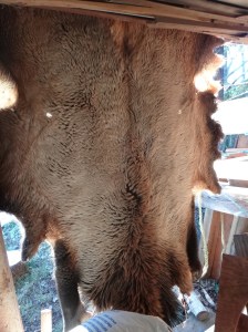 We are tanning our hides with the fur on.  This is the elk hide, future slippers and cob bench covering.
