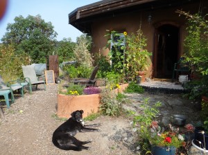 Micro climate in zone 1 right outside the front door