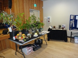 Eco-Sense Food table - Perennial plants, dried foods, cheese, fermented foods.