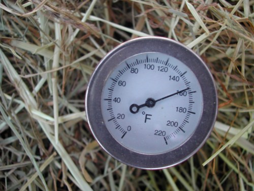 Hot Shit - Thermometer in Humanure compost