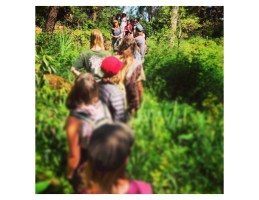 Tour through food forest