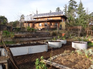 New galvalume garden beds