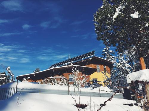 16427496_10158184330040203_5101101764165444390_n