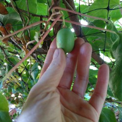 IMG_20170828_104809_001