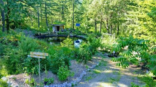 18881825_10213164266849275_3809090753648858589_n