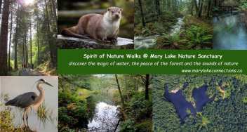 mary-lake-spirit-nature-walks.jpg